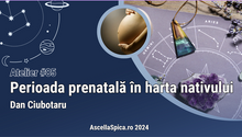 Load image into Gallery viewer, #85 Perioada prenatală în harta nativului
