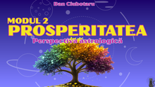 Load image into Gallery viewer, Prosperitatea în harta natală - Modul 2