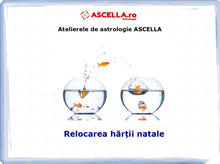 Load image into Gallery viewer, #13 - Relocarea hărții natale