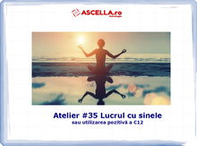 Load image into Gallery viewer, #35 - Lucrul cu sinele sau cum punem la treabă Casa 12