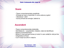 Load image into Gallery viewer, Cele 4 elemente din viața ta