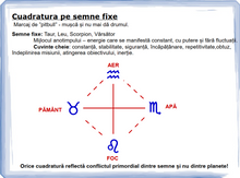 Load image into Gallery viewer, #5 - Cuadratura pe semne fixe
