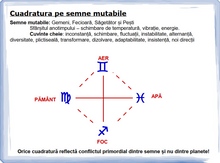 Load image into Gallery viewer, #8 - Cuadratura pe semne mutabile
