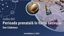 Load image into Gallery viewer, #85 Perioada prenatală în harta nativului
