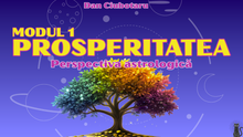 Load image into Gallery viewer, Prosperitatea în harta natală - Modul 1 &amp; 2
